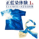 【ふるさと納税】みくりや染織 Tシャツまたはストール体験(1名)|体験 静岡県 伝統 藍染め