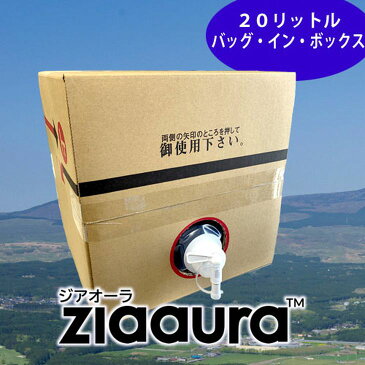 【ふるさと納税】電解型微酸性次亜塩素酸水『ジアオーラ』バッグ・イン・ボックス 20L【除菌 消臭 ウイルス対策】