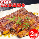 22位! 口コミ数「0件」評価「0」うなぎ蒲焼き | 鰻 惣菜 国産 2尾 冷蔵 やま城