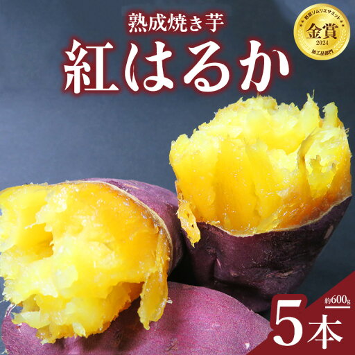 【ふるさと納税】熟成焼き芋5本セット(紅はるか) ※北海道、沖縄、離島への配送不可 【ふるさと納税】熟成焼き芋5本セット(紅はるか) ※北海道、沖縄、離島への配送不可