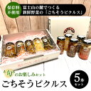 【ふるさと納税】《旬のお楽しみセット》ごちそうピクルス 5本セット | ピクルス ぴくるす セット 詰め合わせ 健康 ヘルシー 料理 食材 漬物