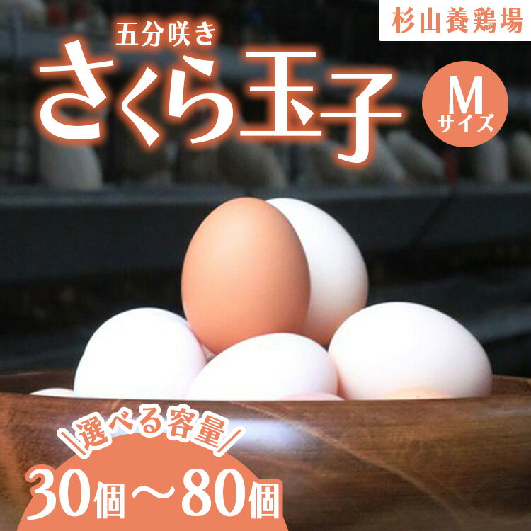 【ふるさと納税】【選べる容量】純国産鶏さくらちゃんが産んだ桜色のさくら玉子 五分咲き(Mサイズ) | 卵 鶏卵 たまご タマゴ 生卵 たまごかけご飯 濃厚 甘み 国産