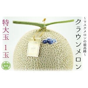 【ふるさと納税】クラウンメロン(白級)特大玉 1玉 箱入り 【果物・マスクメロン・青肉・特大】