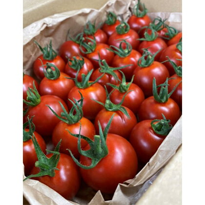 ナグリファームのフルティカトマト(秋届け) 【野菜・トマト】 お届け:2020年10月上旬〜11月末