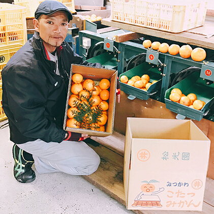 【ふるさと納税】こたつみかん はるみ5kg(サイズいろいろ・ワケあり品) 【果物類・柑橘類・みかん・フルーツ・ミカン・はるみ・5kg】 お届け:2022年1月20日〜2月20日