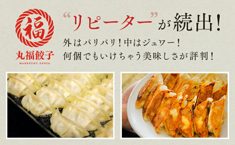 【ふるさと納税】餃子 リピーター続出！ 遠州名物 丸福の餃子 タレ付き ぎょうざ ギョーザ ギョウザ 惣菜 おかず 中華 点心 加工食品 冷凍 静岡