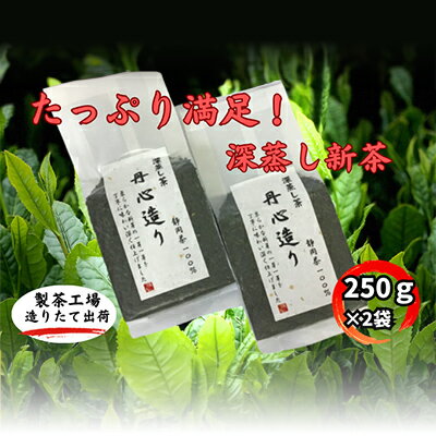 たっぷり満足!深蒸し新茶(250g×2袋) [お茶・緑茶] お届け:2024年5月中旬〜2025年4月下旬