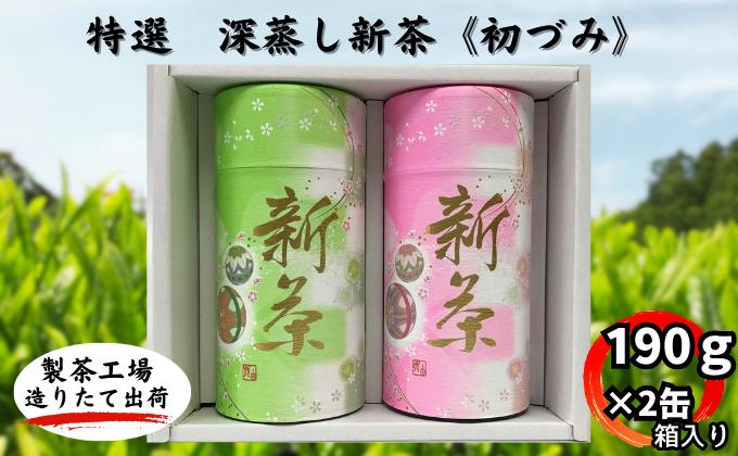 【ふるさと納税】特選　深蒸し新茶《初づみ》貼缶　箱ギフト（190g×2缶）　【お茶・緑茶】　お届け：2024年5月初旬～2025年4月下旬