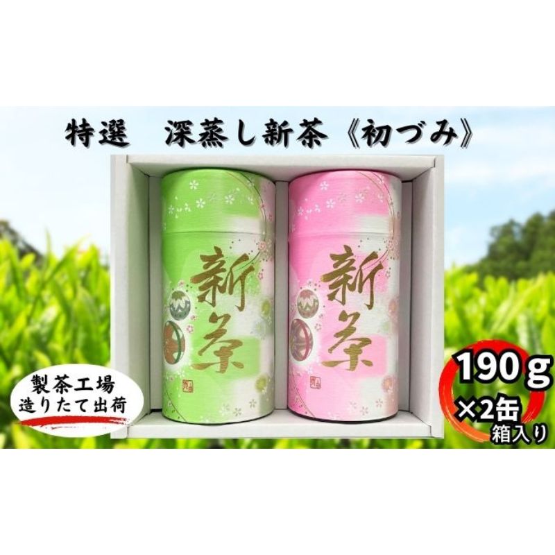 【ふるさと納税】特選　深蒸し新茶《初づみ》貼缶　箱ギフト（190g×2缶）　【お茶・緑茶】　お届け：2024年5月初旬～2025年4月下旬