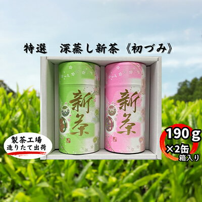 特選　深蒸し新茶《初づみ》貼缶　箱ギフト（190g×2缶）　【お茶・緑茶】　お届け：2024年5月初旬～2025年4月下旬