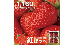 【ふるさと納税】【配達地域限定】農水大臣賞受賞農園からお届け イチゴ・紅ほっぺ 4パック　【果物類・いちご・苺・イチゴ】　お届け：2023年1月下旬頃から4月末まで･･･ 画像1