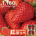 【ふるさと納税】【配達地域限定】農水大臣賞受賞農園からお届け イチゴ・紅ほっぺ 4パック　【果物類・いちご・苺・イチゴ】　お届け：2023年1月下旬頃から4月末まで･･･