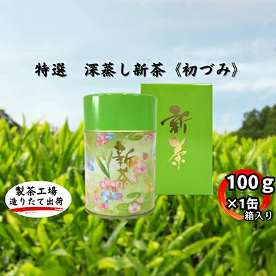 特選　深蒸し新茶《初づみ》箱入（100g×1缶）　【お茶・緑茶】　お届け：2024年5月初旬～2024年11月下旬