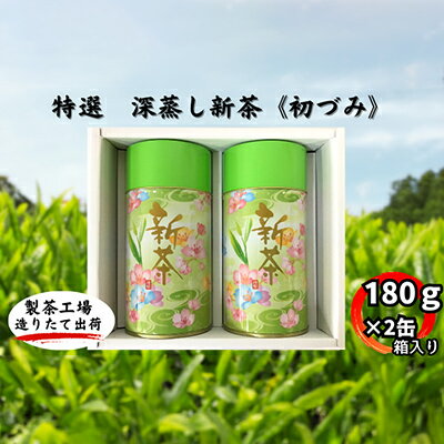 特選　深蒸し新茶《初づみ》缶箱ギフト（180g×2缶）　【お茶・緑茶】　お届け：2024年5月初旬～2025年4月下旬