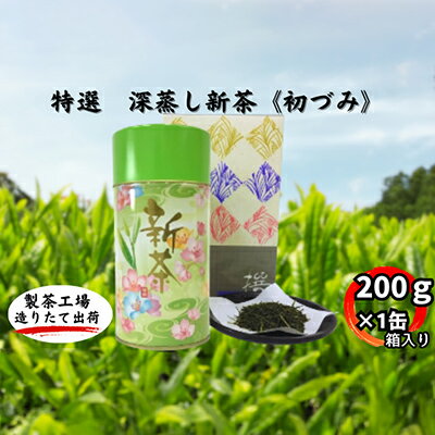 特選　深蒸し新茶《初づみ》　缶箱ギフト（200g×1缶）　【お茶・緑茶】　お届け：2024年5月初旬～2025年4月下旬