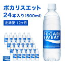 ポカリスエット 定期便 12ヶ月 500ml 24本 大塚製薬 ポカリ スポーツドリンク イオン飲料 スポーツ トレーニング アウトドア 熱中症対策 健康 12回　【定期便・ 袋井市 】