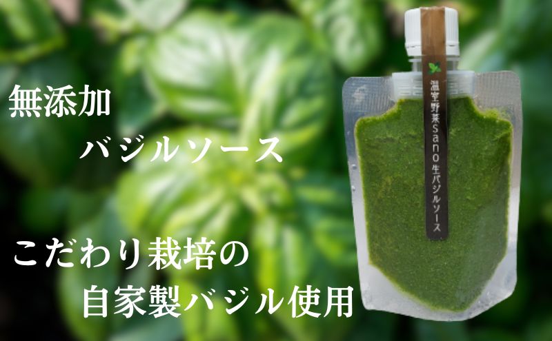 【ふるさと納税】温室野菜 sano 　生バジルソース 料理 イタリア料理 新鮮 香り 温室栽培 無添加 おすすめ 人気 厳選 袋井市　【加工食品・食用油・バジルソース・バジル・ソース】