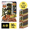 カレー レトルト カリー屋カレー 大辛 180g×30食 ハウス食品 レトルトカレー レトルト食品 保存食 非常食 防災食 常温 常温保存 レンジ 惣菜 加工食品 災害 備蓄 静岡　