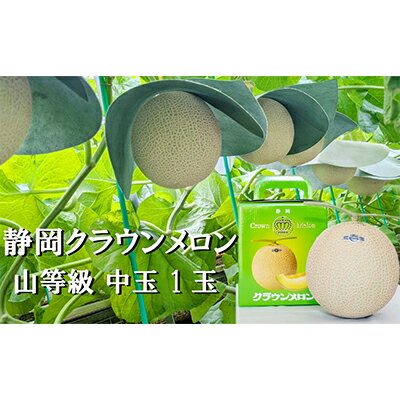 【ふるさと納税】クラウンメロン【上（山等級）】中玉（1.3kg前後）1玉入り　【果物類・メロン青肉・クラウンメロン・メロン・1.3kg・フルーツ】