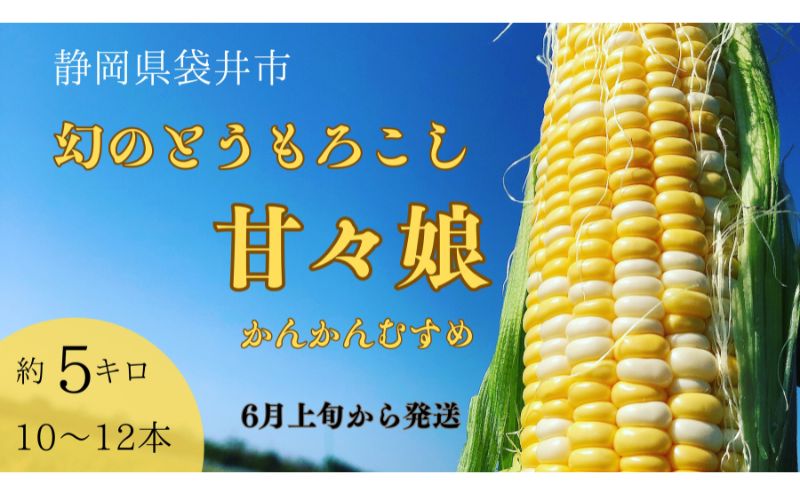 【ふるさと納税】【先行予約】数量限定！リピーター続出！！とうもろこし★甘々娘★ おすすめ コーン トウモロコシ かんかんむすめ 採れたて 新鮮 野菜 健康 ヘルシー 人気 厳選 袋井市 フルーツコーン 静岡県　お届け：2026年6月上旬～中下旬