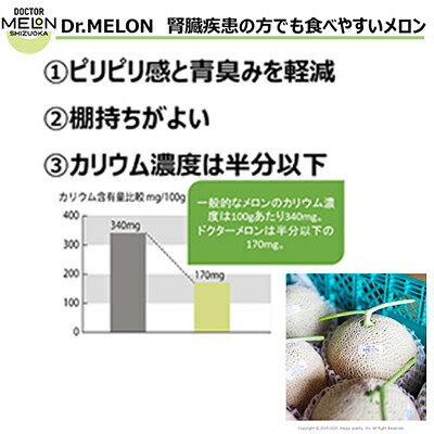 ドクターメロン 低カリウムで腎臓疾患の方も食べやすい（6月・7月お届け）【配送不可：離島】健康 ヘルシー ギフト 贈り物 フルーツ 人気 厳選 袋井市　【果物類・メロン青肉・静岡県産】　お届け：2024年6月～7月末