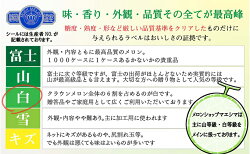 【ふるさと納税】【6か月定期便】クラウンメロン【並（白等級）】中玉（1.3kg前後）1玉入り　【定期便・果物類・メロン青肉・クラウンメロン・メロン・フルーツ・6ヶ月・6回・半年】･･･ 画像2