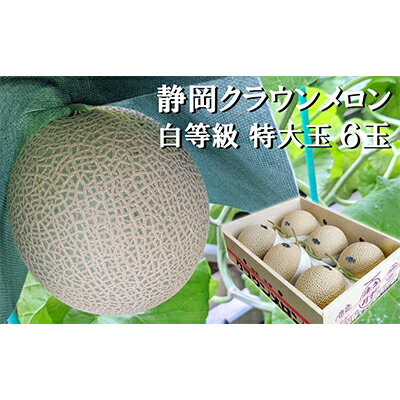【ふるさと納税】クラウンメロン【並(白等級)】特大玉(1.5kg前後)6玉入り 人気 厳選 ギフト 贈り物 デザート グルメ 果物 袋井市 果物類 メロン青肉 フルーツ