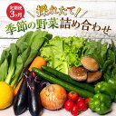 15位! 口コミ数「0件」評価「0」とれたて 野菜 パック 定期便 3回 季節の野菜 セット 詰め合わせ 10品前後 野菜セット 野菜詰め合わせ 3ヶ月 ジャガイモ 人参 大根･･･ 