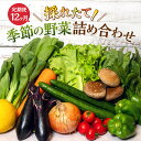 11位! 口コミ数「0件」評価「0」とれたて 野菜 パック 定期便 12回 季節の野菜 セット 詰め合わせ 10品前後 野菜セット 野菜詰め合わせ 12ヶ月 ジャガイモ 人参 ･･･ 