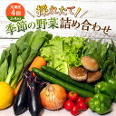 14位! 口コミ数「0件」評価「0」とれたて 野菜 パック 定期便 4回 2ヶ月おき 季節の野菜 セット 詰め合わせ 10品前後 野菜セット 野菜詰め合わせ ジャガイモ 人参 ･･･ 