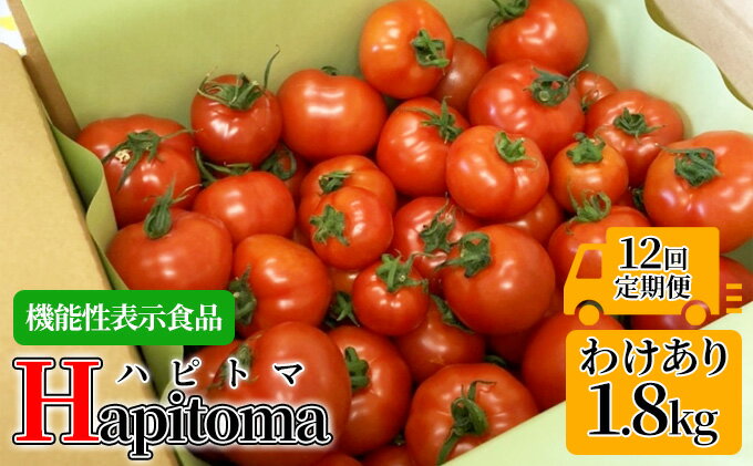 【ふるさと納税】【12ヶ月定期便】機能性表示食品 Hapitoma ハピトマ 訳あり（1.8kg）【配送不可：北海道・沖縄・離島】健康 ヘルシー 人気 厳選 　【定期便・ 野菜 緑黄色野菜 産地直送 ダブル成分 GABA リコピン トマト 国産 静岡県産 袋井市産 食材 】