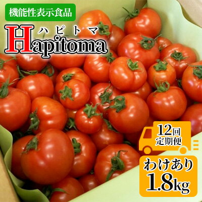 【ふるさと納税】【12ヶ月定期便】機能性表示食品 Hapitoma ハピトマ 訳あり（1.8kg）【配送不可：北海道・沖縄・離島】健康 ヘルシー 人気 厳選 　【定期便・ 野菜 緑黄色野菜 産地直送 ダブル成分 GABA リコピン トマト 国産 静岡県産 袋井市産 食材 】