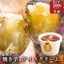 13位! 口コミ数「0件」評価「0」【アイスと焼き芋セット】つぼやきいもアイスクリーム 6個 壺でじっくり焼いた冷凍つぼやきいも 500g 国産 スイーツ 焼き芋 さつまいも ･･･ 