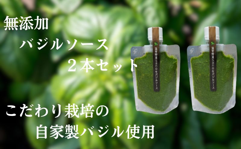 【ふるさと納税】温室野菜 sano 生バジルソース2本セット　【加工食品・加工食品・ソース】