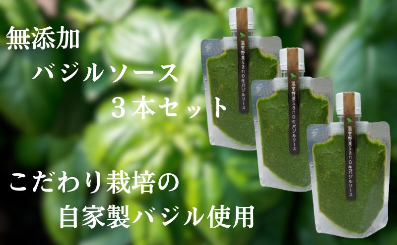 【ふるさと納税】温室野菜 sano 生バジルソース3本セット　【加工食品・加工食品・ソース】