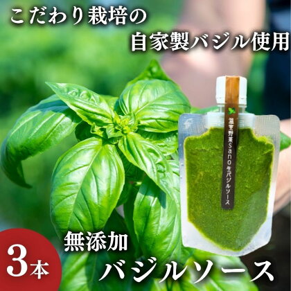 温室野菜 sano 生バジルソース3本セット　【加工食品・加工食品・ソース】