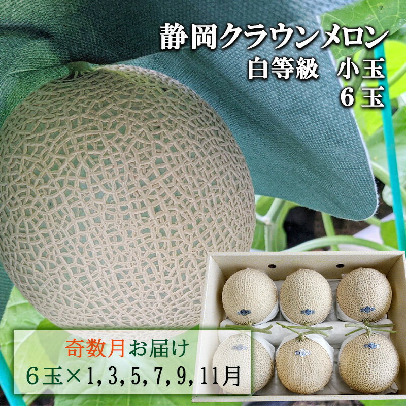 【ふるさと納税】【奇数定期便】クラウンメロン【並(白等級)】小玉(1.1kg前後)6玉入り　【定期便・ 果物 メロン青肉 フルーツ デザート 高級メロンブランド 高級メロン ブランドメロン 】