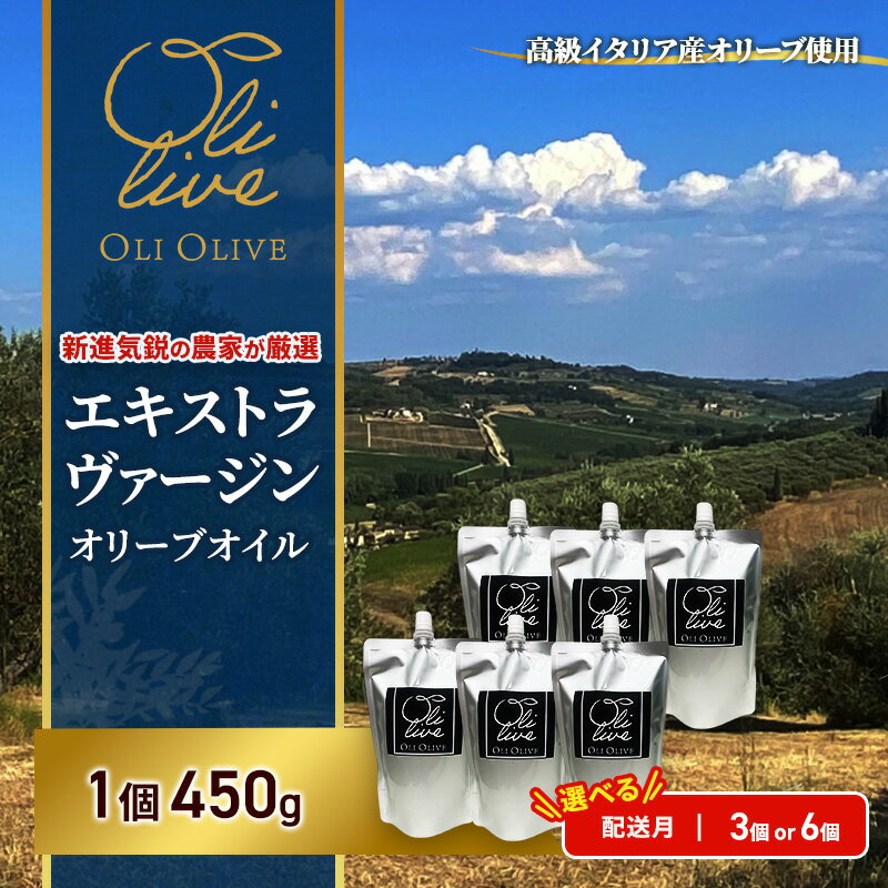 [受賞農家が選出] 高級イタリア産 エキストラ・ヴァージン・オリーブオイル 458g×3個・6個[選べる発送月 1月/2月/3月発送] 調味料 油 オリーブ油 食用油 静岡県 袋井市
