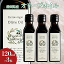 【ふるさと納税】オリーブオイル 120ml 3本 セット 静岡県産 エクストラバージンオリーブオイル 静岡県 袋井市 オリーブ 油 ※配送不可:離島