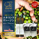 【ふるさと納税】高級イタリア産 エキストラ・ヴァージンオリーブオイル 2種×2個 計4点 2025年9月中旬から発送 調味料 油 オリーブ油 食用油 静岡県 袋...