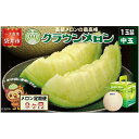 【ふるさと納税】【9ヶ月定期便】クラウンメロン(白等級)中玉 1玉入 果物 フルーツ デザート メロン マスクメロン 青肉 高級 ギフト 贈り物 静岡県産 袋...