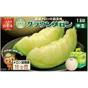 【ふるさと納税】【10ヶ月定期便】クラウンメロン(白等級)中玉 1玉入 果物 フルーツ デザート メロン マスクメロン 青肉 高級 ギフト 贈り物 静岡県産 ...