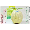 【ふるさと納税】【7ヶ月定期便】クラウンメロン(白等級)特大玉 1玉入 果物 フルーツ デザート メロン マスクメロン 青肉 高級 ギフト 贈り物 静岡県産 ...