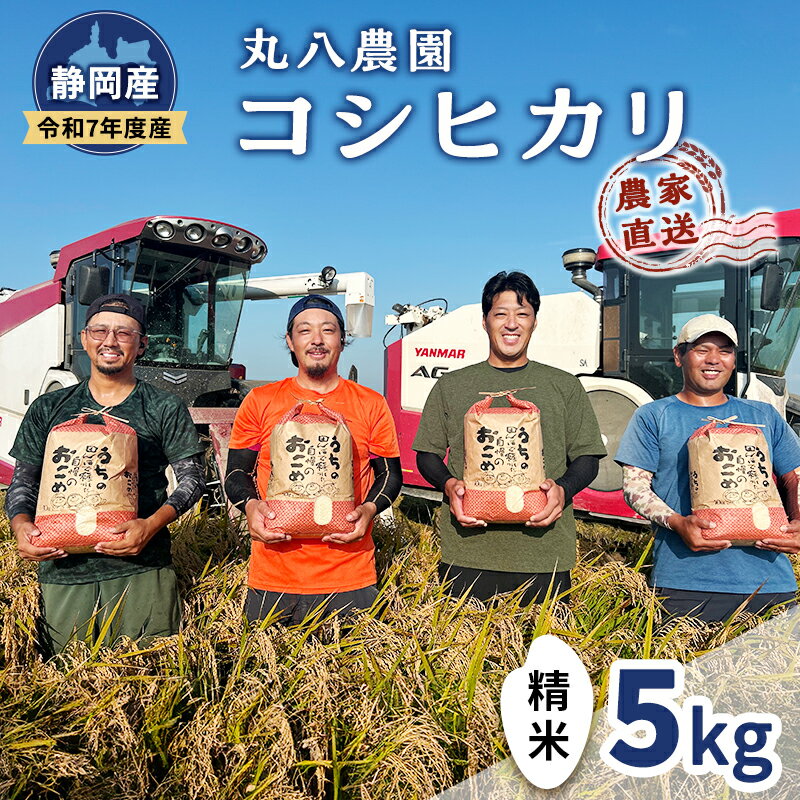 お米 令和7年度産静岡産コシヒカリ精米5kg 米 コメ こしひかり コシヒカリ 精米 白米 袋井市 静岡県