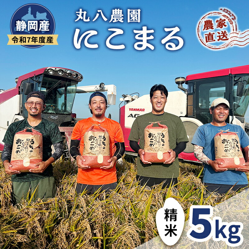 お米 令和7年度産静岡産にこまる精米5kg 米 コメ にこまる 精米 白米 袋井市 静岡県