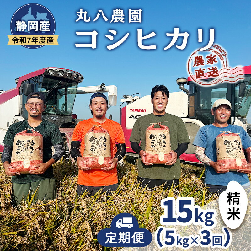 お米 (定期便3回)令和7年度産静岡県産コシヒカリ精米5kg×3 計15kg 米 コメ こしひかり コシヒカリ 精米 白米 定期便 袋井市 静岡県