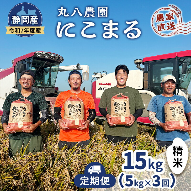 お米 (定期便3回)令和7年度産静岡県産にこまる精米5kg×3 計15kg 米 コメ にこまる 精米 白米 定期便 袋井市 静岡県