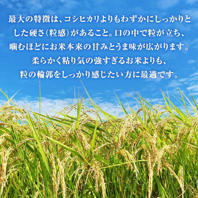 【ふるさと納税】令和7年度産 ほしじるし 3kg 玄米 3ヶ月定期便 米 静岡県 袋井市【離島配送不可】　お届け：2026年10月15日～2027年9月30日まで
