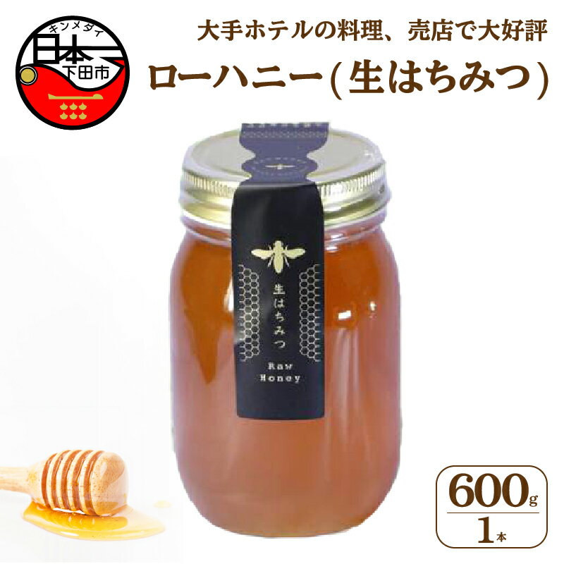 【ふるさと納税】 生はちみつ 国産 非加熱 ビタミン ミネラル 無添加 発酵食品 600g