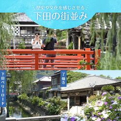 【ふるさと納税】静岡県下田市の対象施設で使える楽天トラベルクーポン寄付額　200,000円 画像2